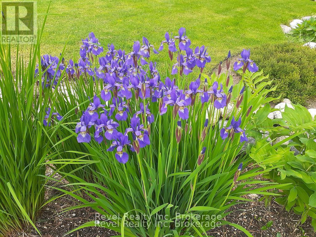 15 Stoney Road, Tiny, Ontario  L9M 0H2 - Photo 41 - S12802472