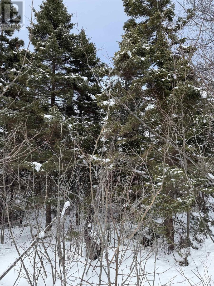 1 Barren Road, Seal Cove, Nova Scotia  B0E 2K0 - Photo 11 - 202526936