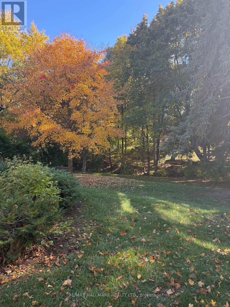 211 Newton Drive, Toronto, Ontario  M2M 2P2 - Photo 36 - C12803512