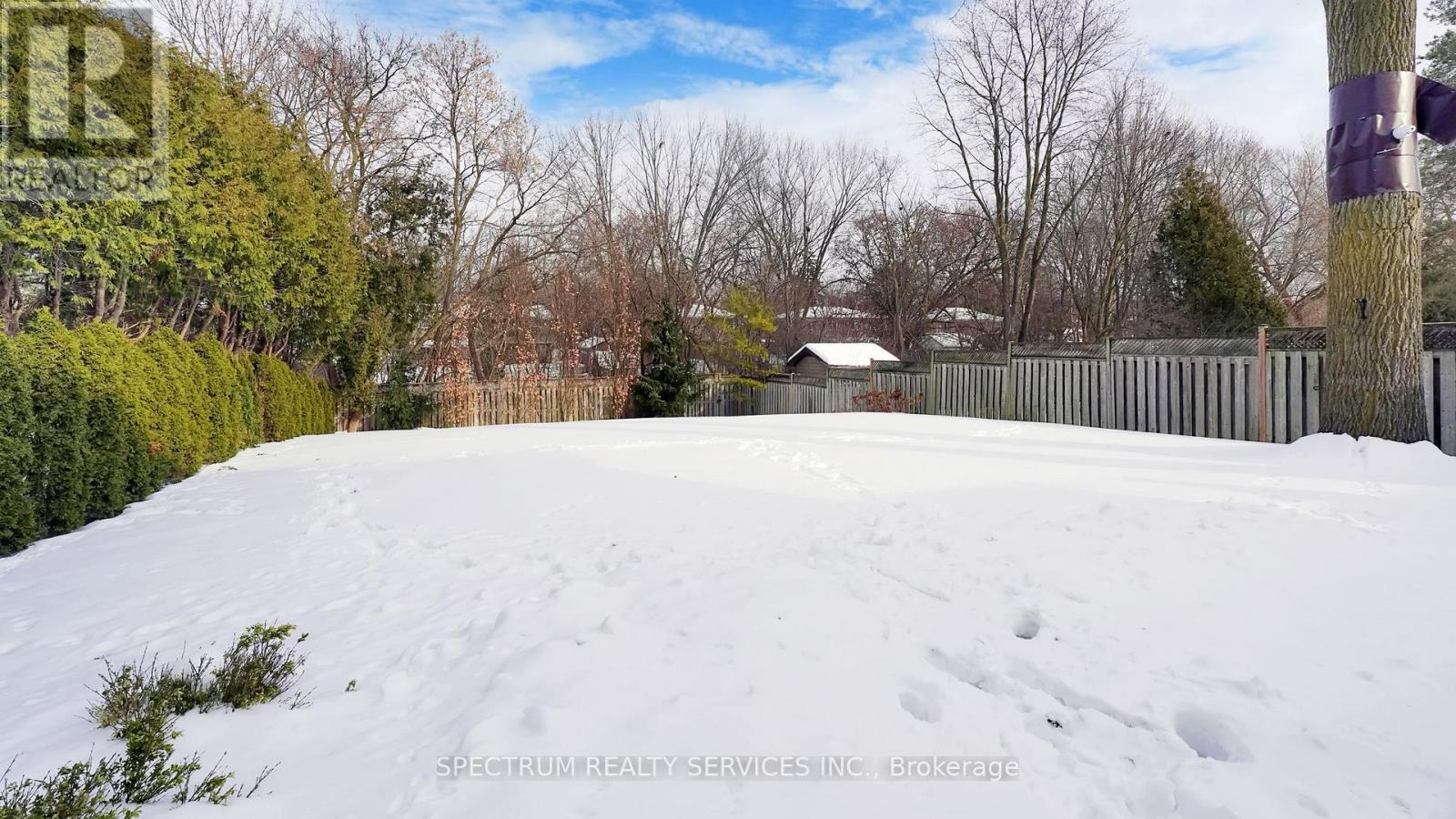 223 Lennox Avenue, Richmond Hill, Ontario  L4C 2A4 - Photo 50 - N12803490