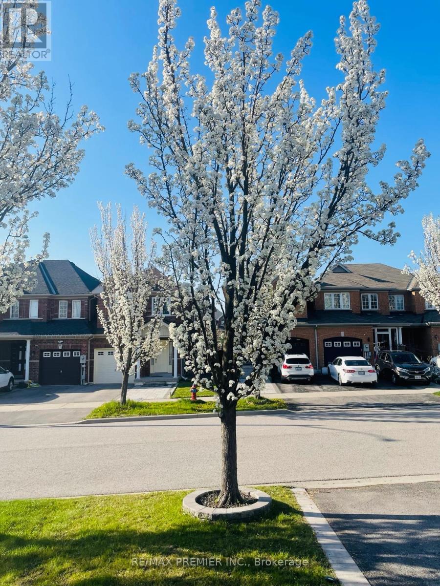 58 Martini Drive, Richmond Hill, Ontario  L4S 2T7 - Photo 26 - N12803516