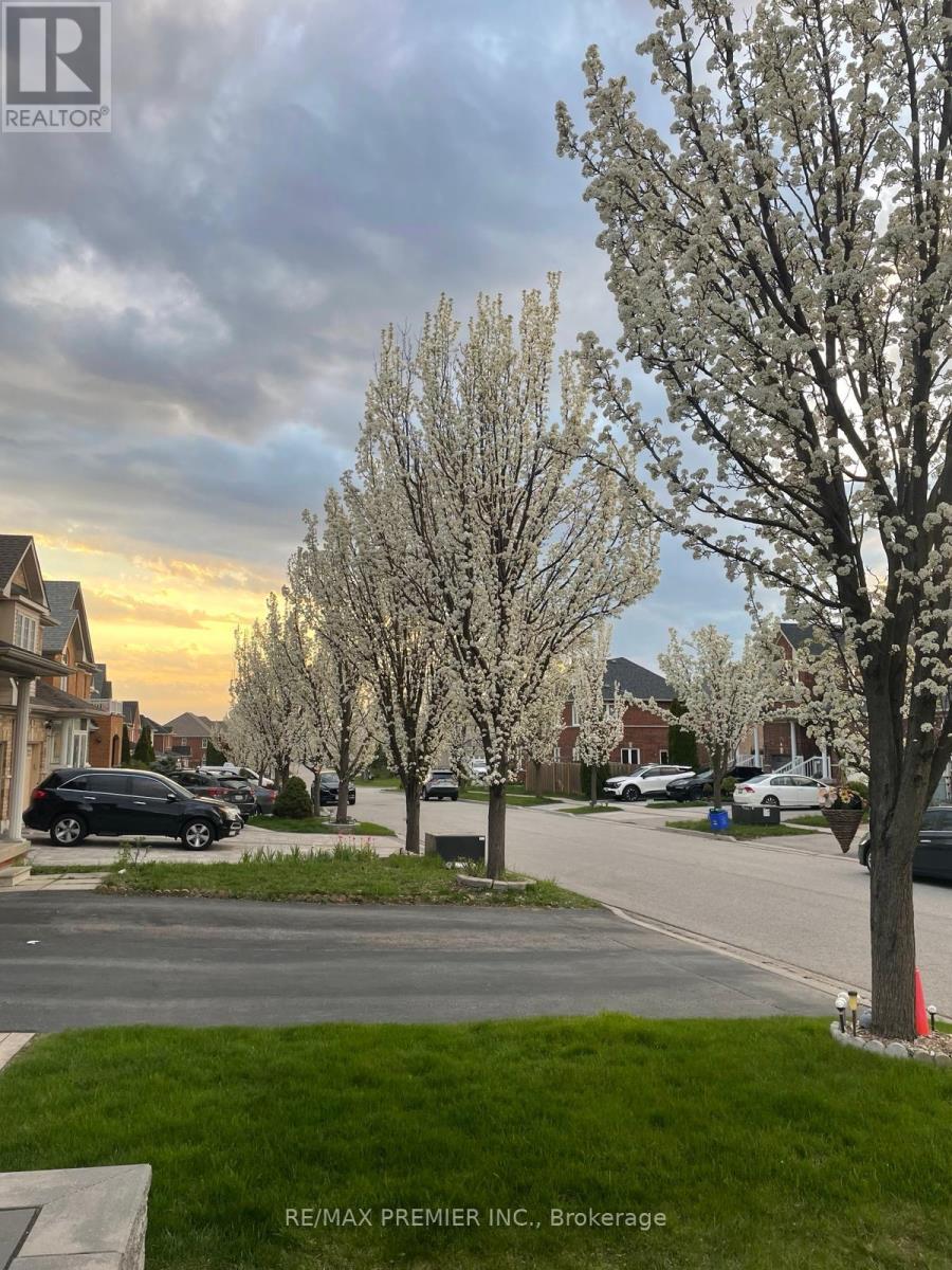 58 Martini Drive, Richmond Hill, Ontario  L4S 2T7 - Photo 27 - N12803516