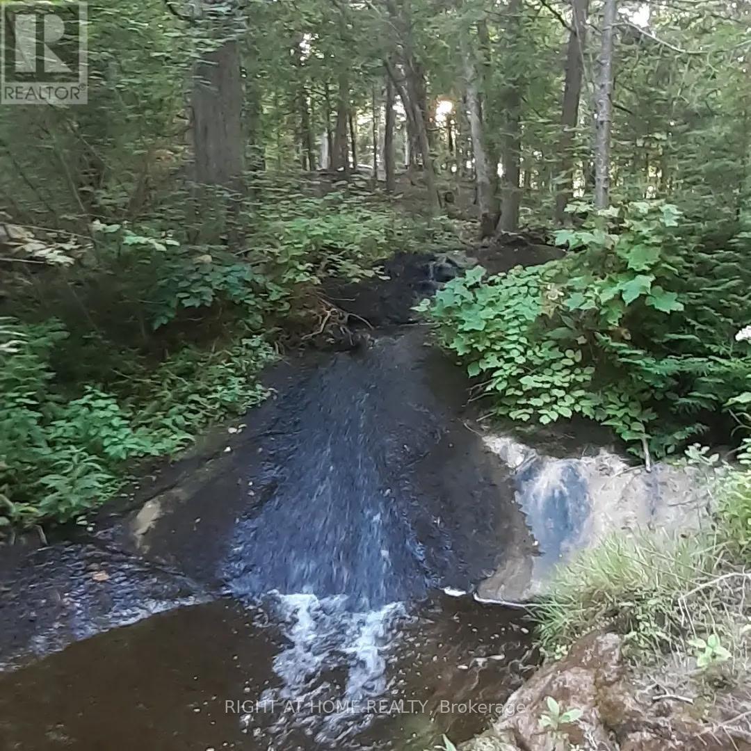 1061 Centennial Lake Road, Greater Madawaska, Ontario  K0J 1H0 - Photo 22 - X12803614