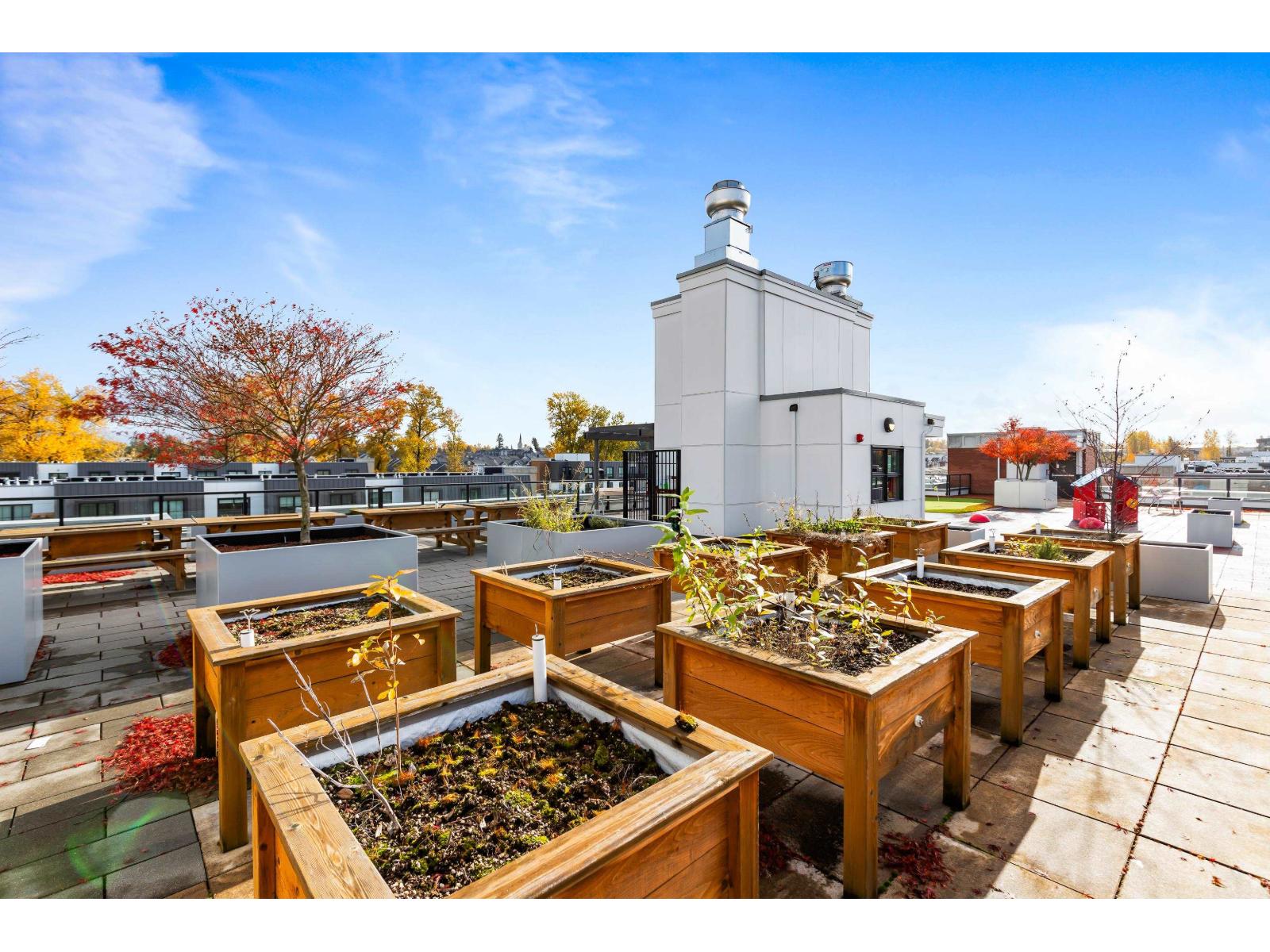 F606 8353 200a Street, Langley, British Columbia  V2Y 5K7 - Photo 30 - R3091578