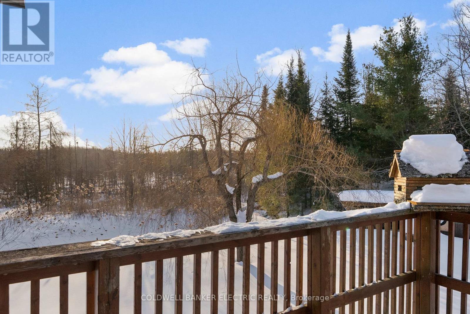 459 Jack Lake Road, North Kawartha, Ontario  K0L 1A0 - Photo 29 - X12803740