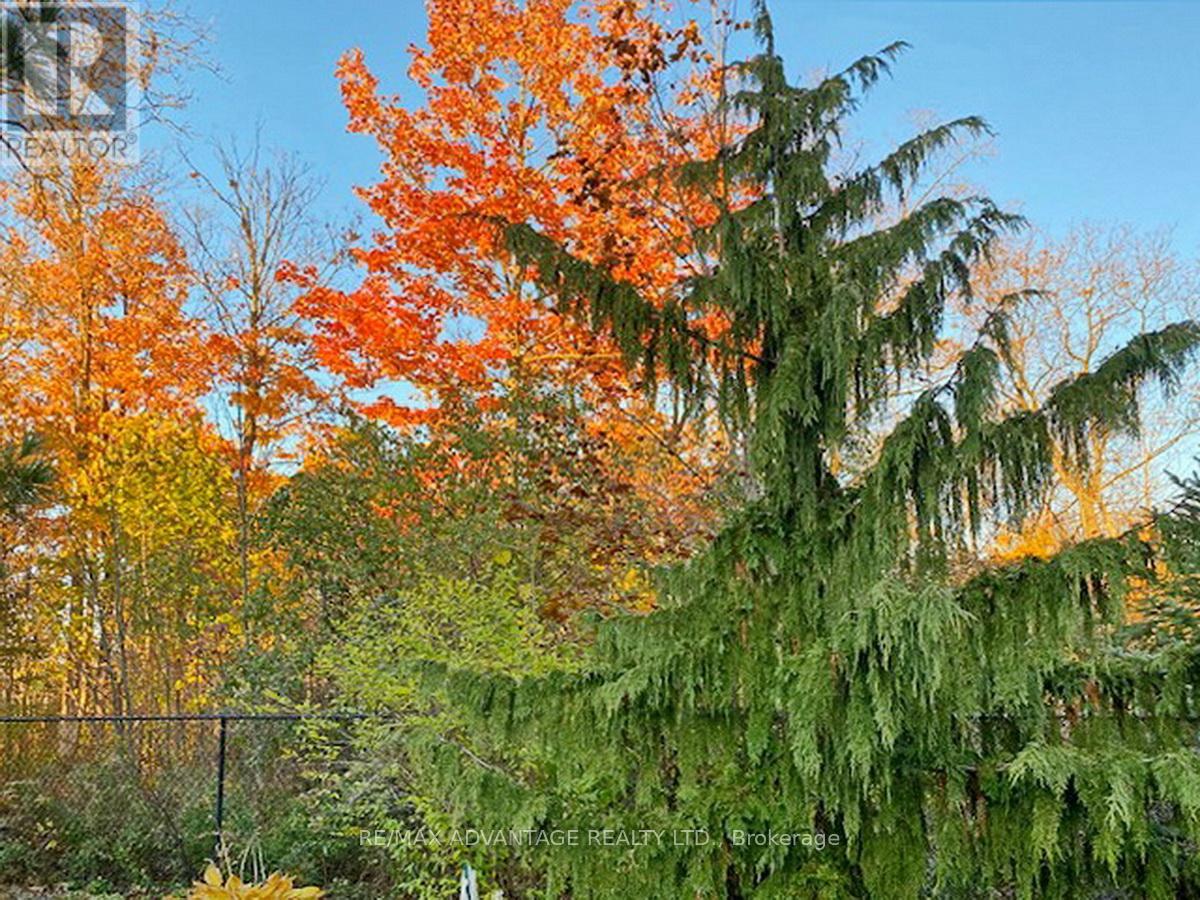 1849 Kyle Court, London North, Ontario  N6G 0A6 - Photo 50 - X12803784