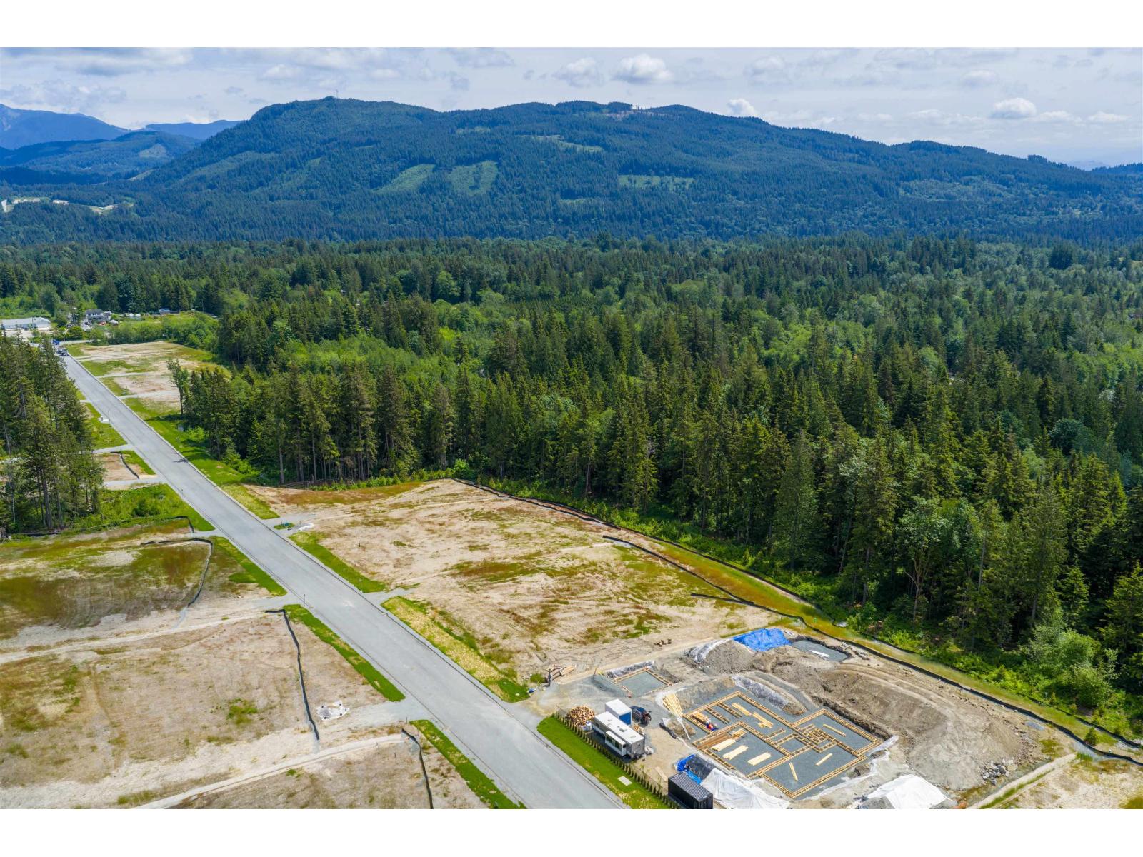 30268 Endo Avenue, Mission, British Columbia  V4S 1C6 - Photo 13 - R3026687