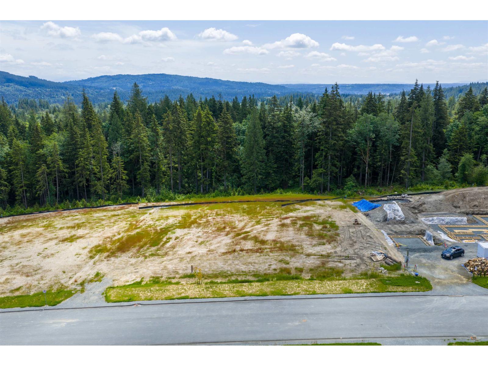 30268 Endo Avenue, Mission, British Columbia  V4S 1C6 - Photo 8 - R3026687