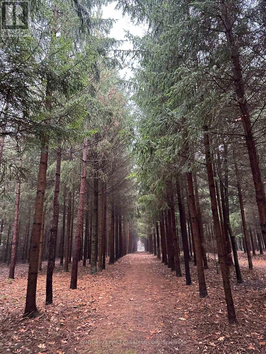 13660 Longwoods Road, Chatham-Kent, Ontario N0P 2K0 - Photo 44 - X12797256