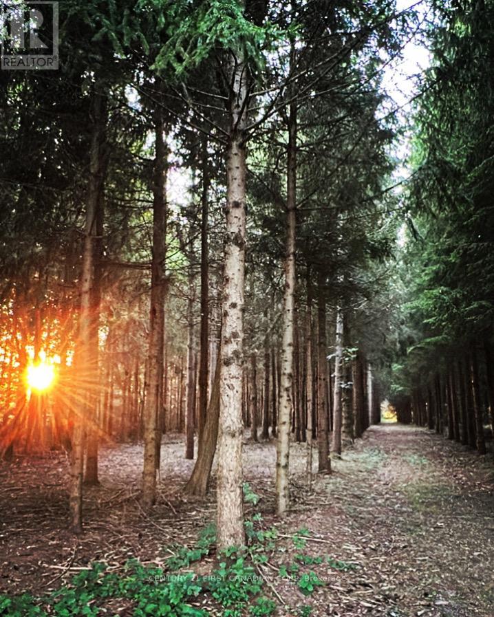 13660 Longwoods Road, Chatham-Kent, Ontario N0P 2K0 - Photo 45 - X12797256