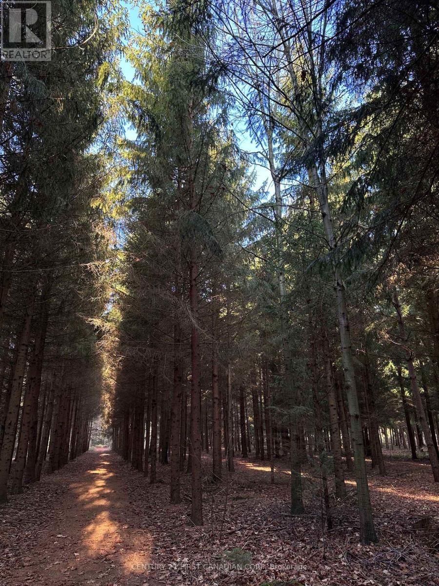 13660 Longwoods Road, Chatham-Kent, Ontario N0P 2K0 - Photo 43 - X12797256