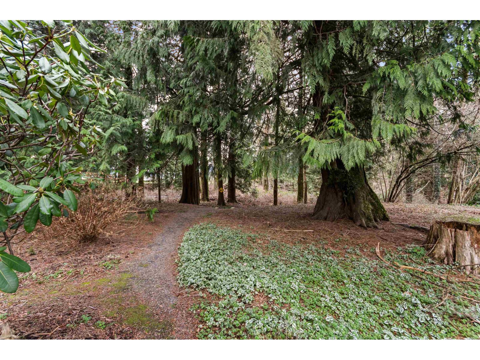 7955 Brookwood Place, Eastern Hillsides, Chilliwack, British Columbia  V4Z 0A1 - Photo 13 - R3091615