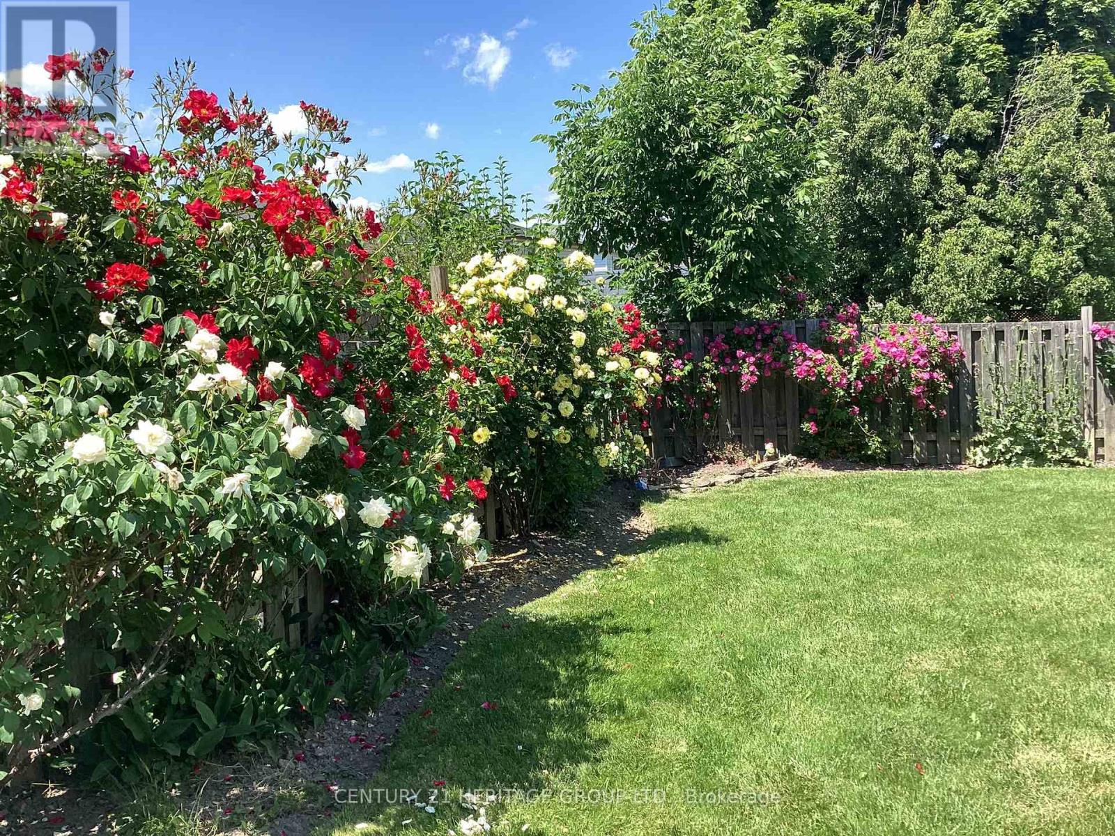 126 Garden Crescent, Hamilton, Ontario  L8V 4T4 - Photo 42 - X12803968