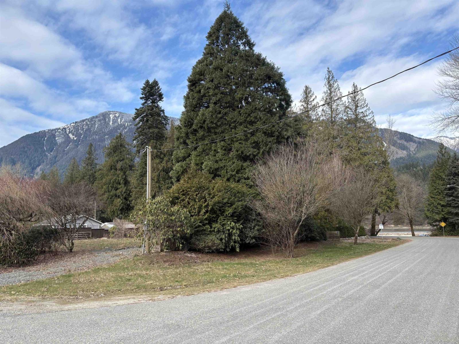 689 Hazel Street, Hope, Hope, British Columbia  V0X 1L0 - Photo 3 - R3091711