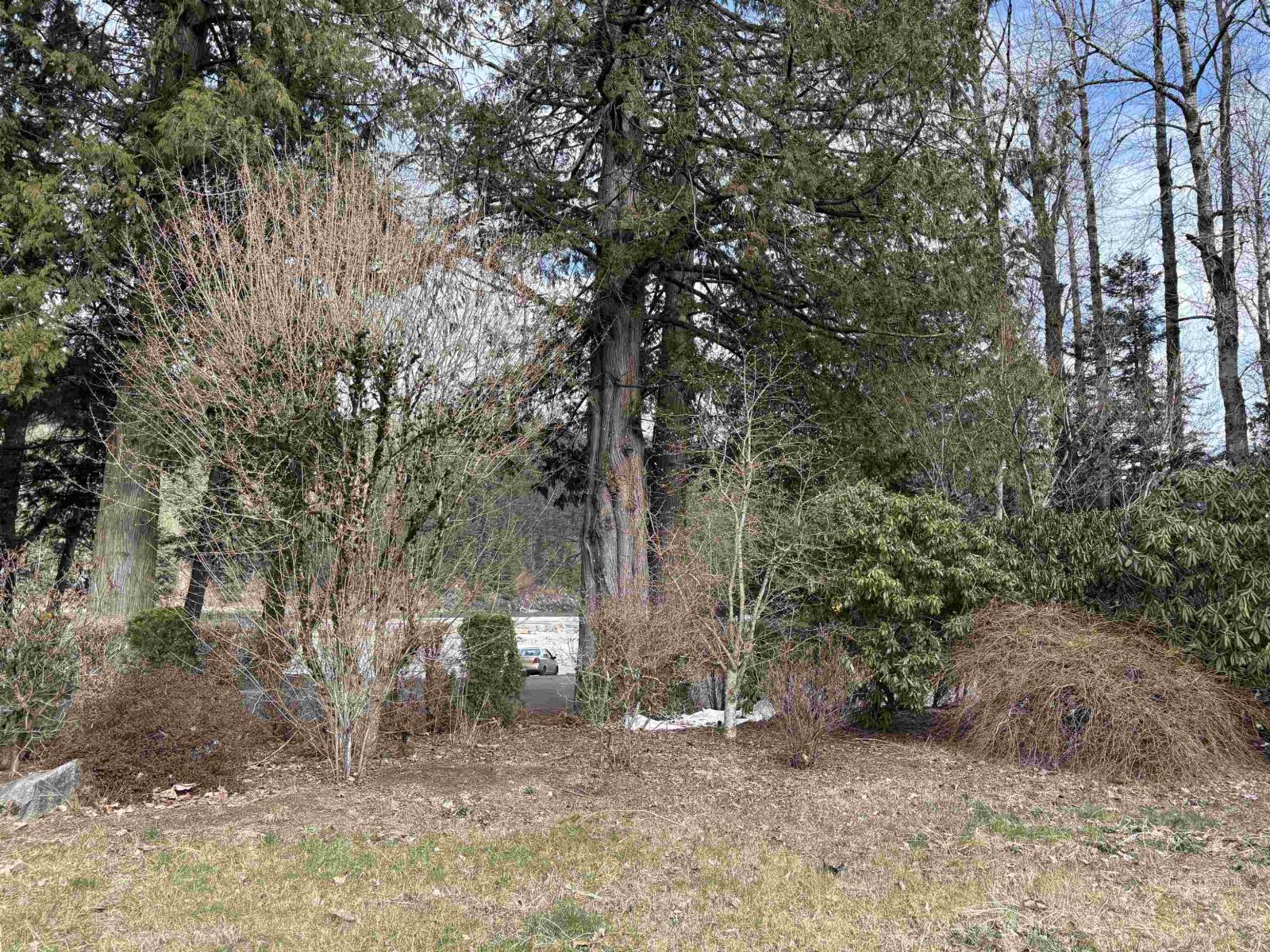 689 Hazel Street, Hope, Hope, British Columbia  V0X 1L0 - Photo 11 - R3091711