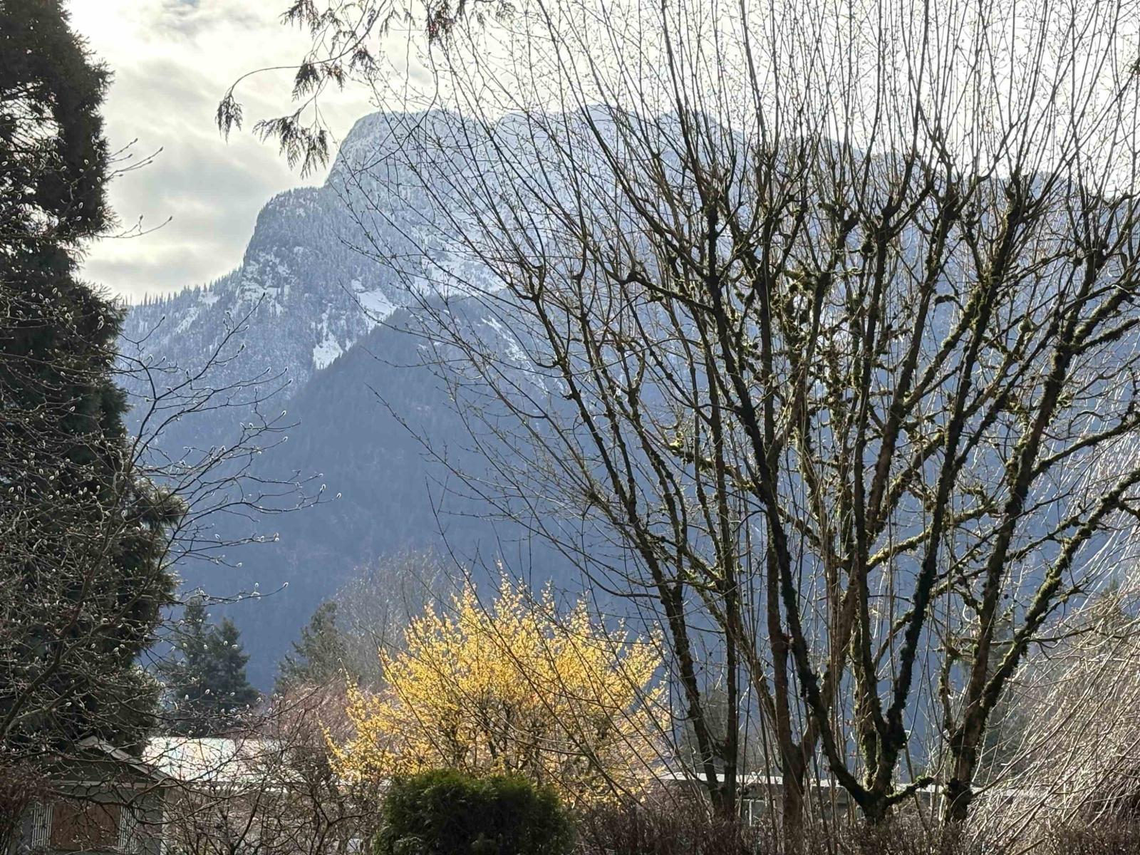 689 Hazel Street, Hope, Hope, British Columbia  V0X 1L0 - Photo 5 - R3091711