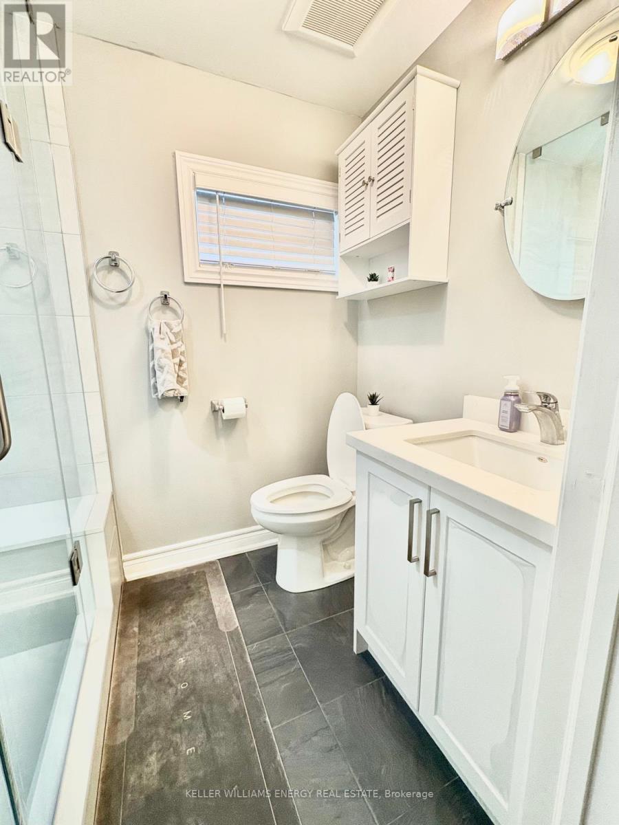 Lower - 480 Waverly Street N, Oshawa, Ontario  L1J 5W3 - Photo 9 - E12804072