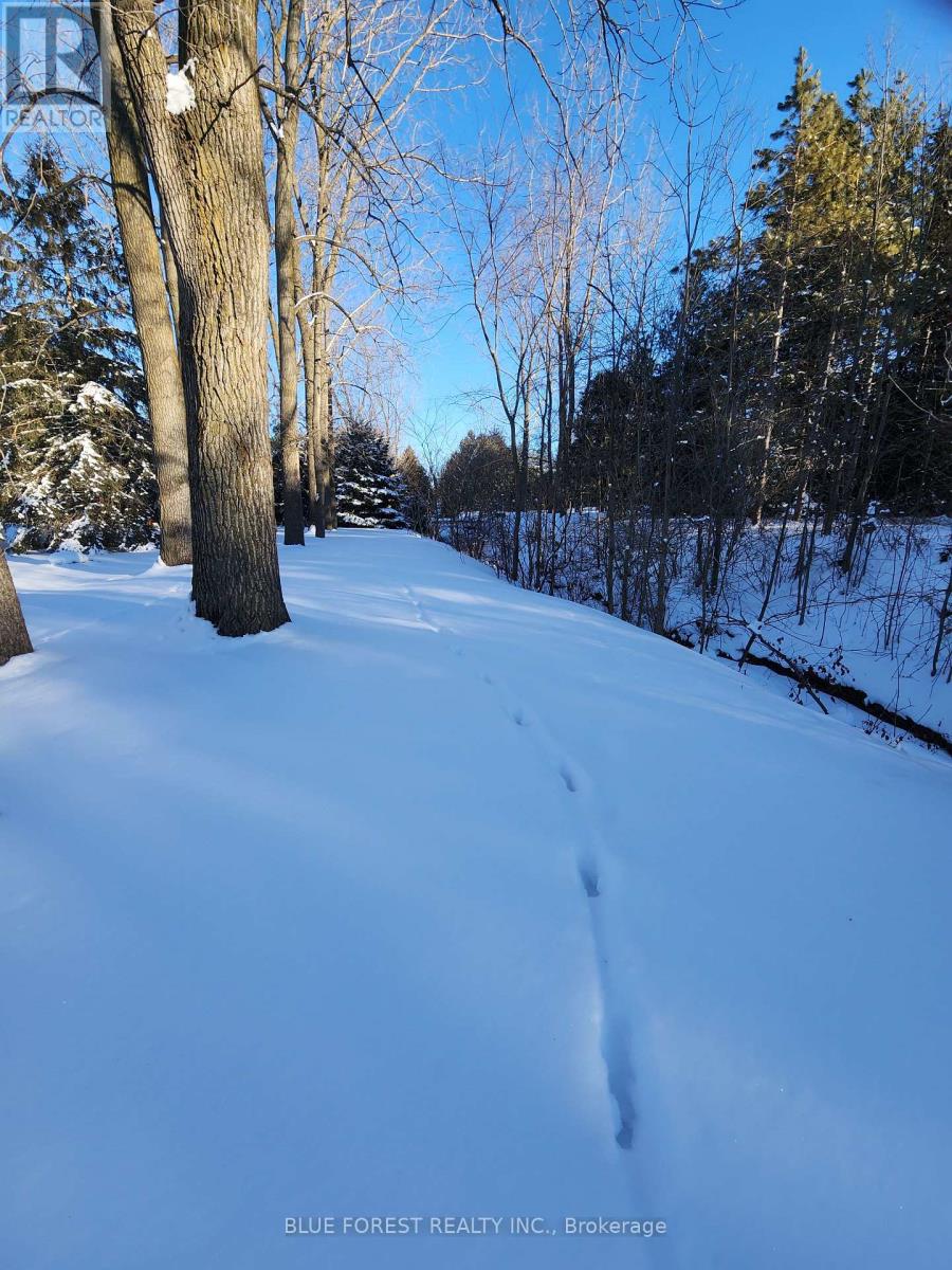 36259 Gore Road, South Huron, Ontario  N0M 1T0 - Photo 15 - X12804128