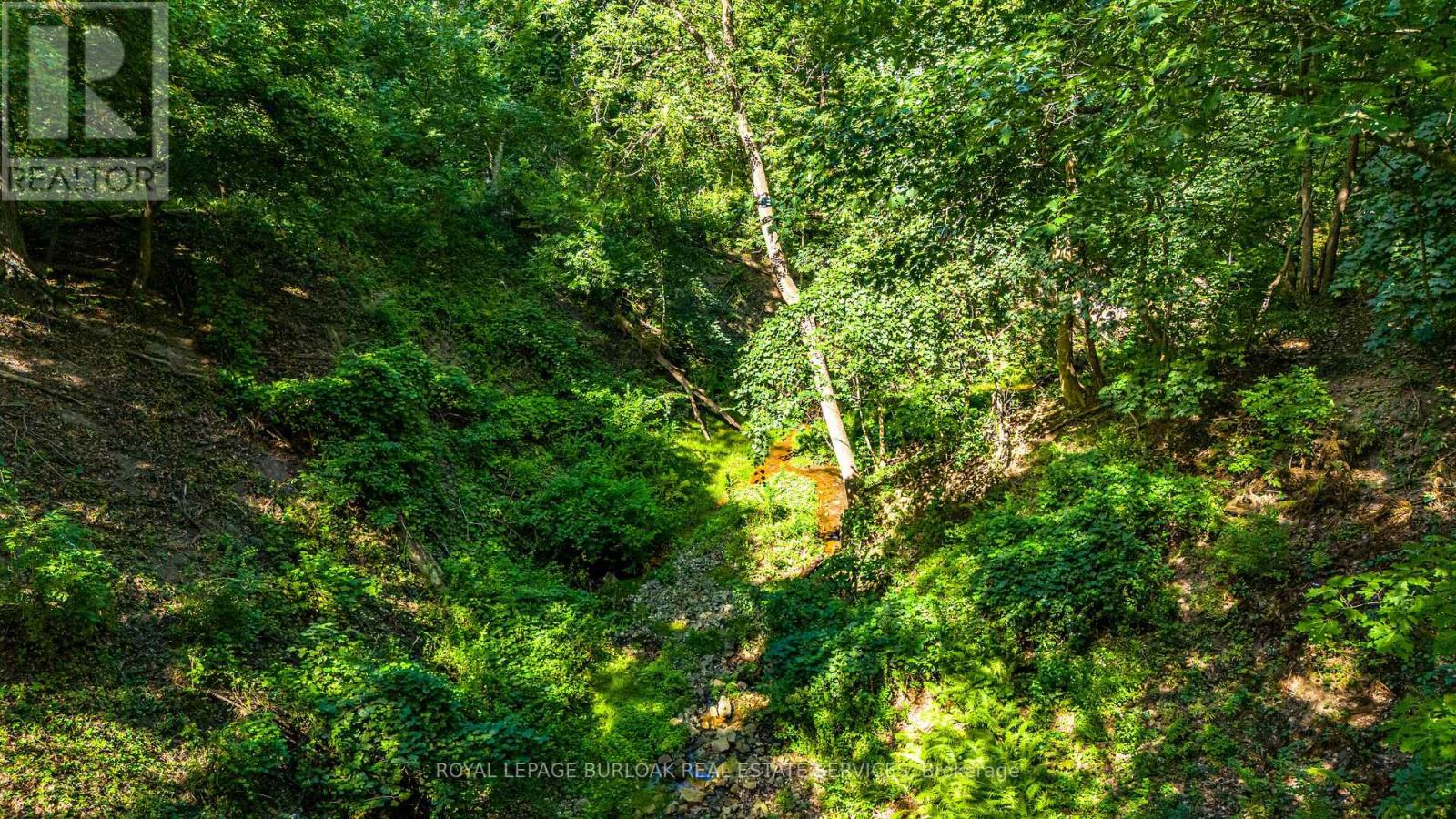 3 Oakwood Place, Hamilton, Ontario  L8S 4C9 - Photo 42 - X12804190