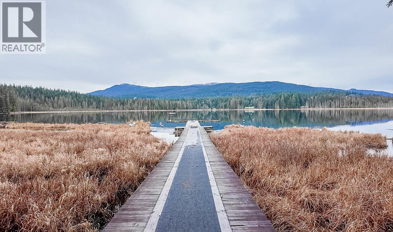 28204 108th Avenue, Maple Ridge, British Columbia  V2W 1T5 - Photo 32 - R3090868