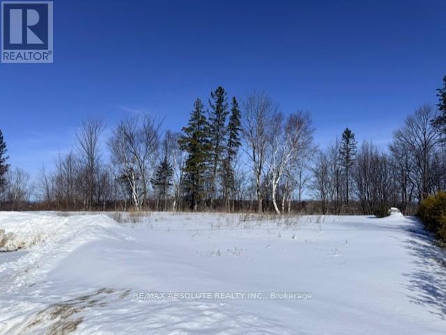 6 Lowe Court, Whitewater Region, Ontario  K0J 1C0 - Photo 14 - X12804346