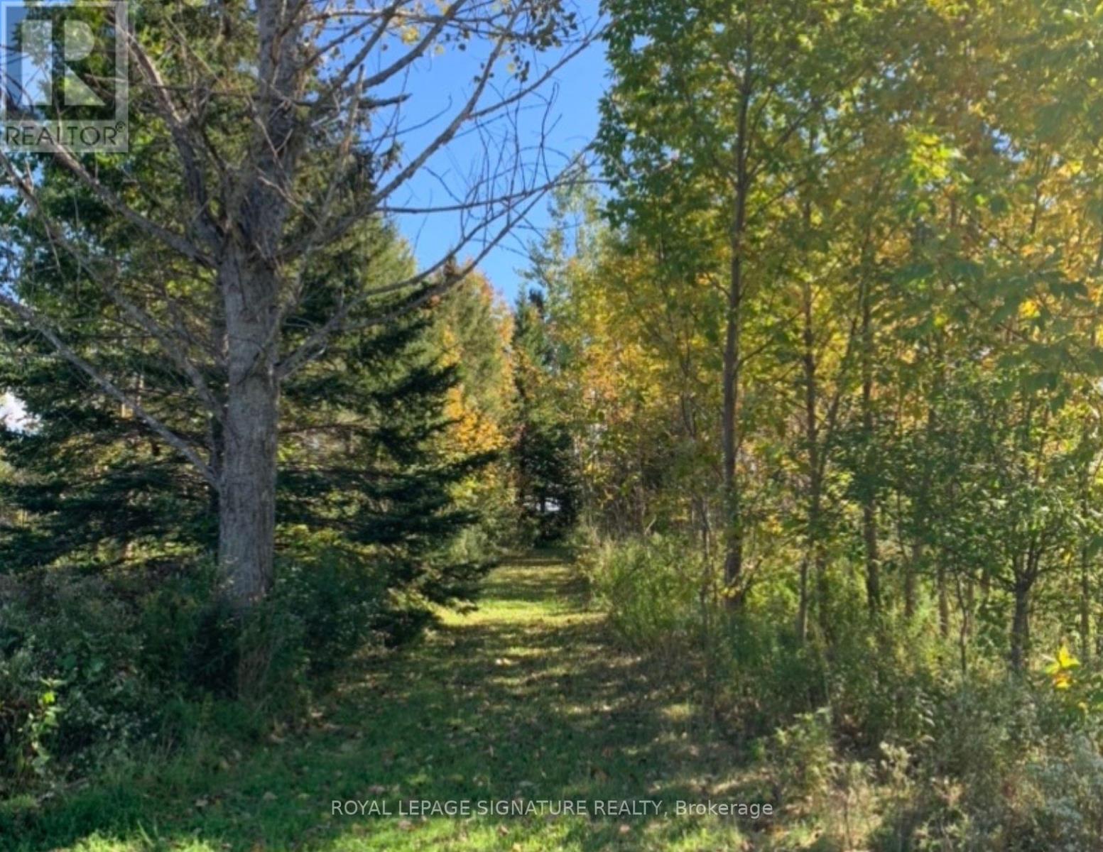 1152 Concession 1 Road, Ramara, Ontario  L0K 1B0 - Photo 31 - S12804372