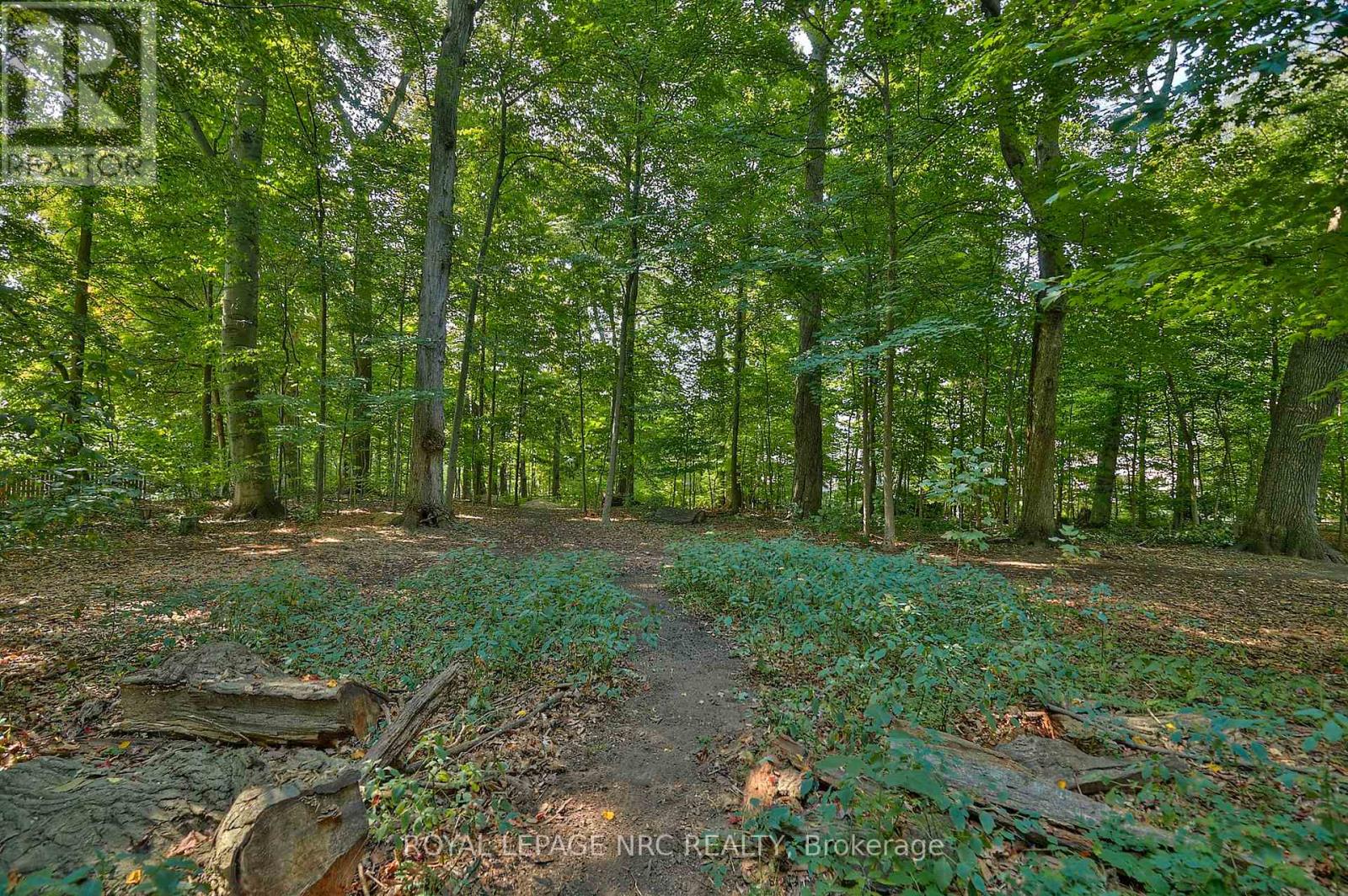 28 Spruceside Crescent, Pelham, Ontario  L0S 1E1 - Photo 34 - X12804474