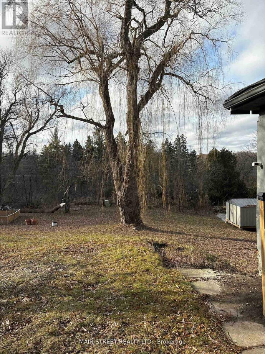 493 College Street, Newmarket, Ontario  L3Y 1C5 - Photo 2 - N12804466