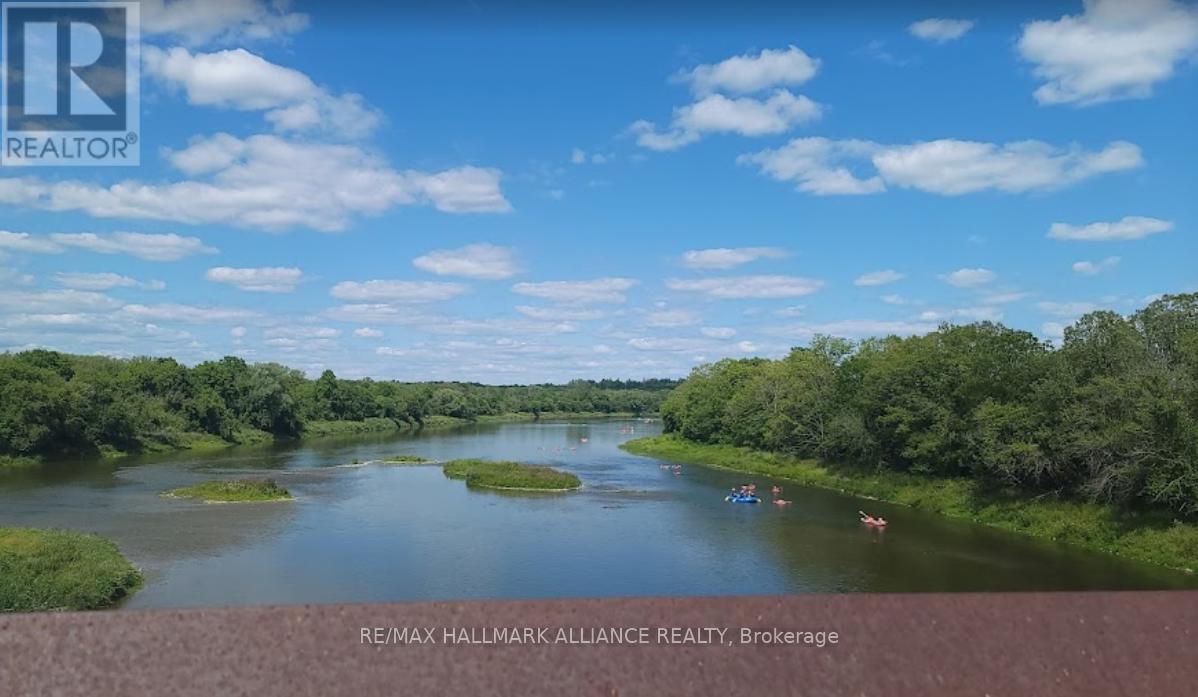 60 Macklin Street, Brantford, Ontario  N3T 5L8 - Photo 28 - X12804618