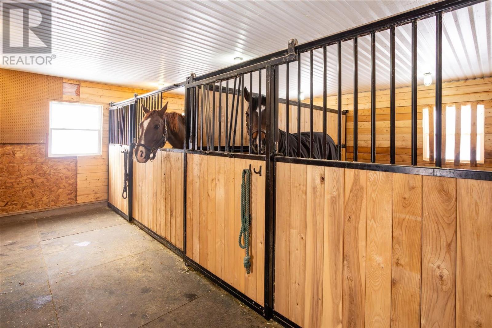 127 Peters Road, Pembroke, Prince Edward Island  C0A 1R0 - Photo 35 - 202601687