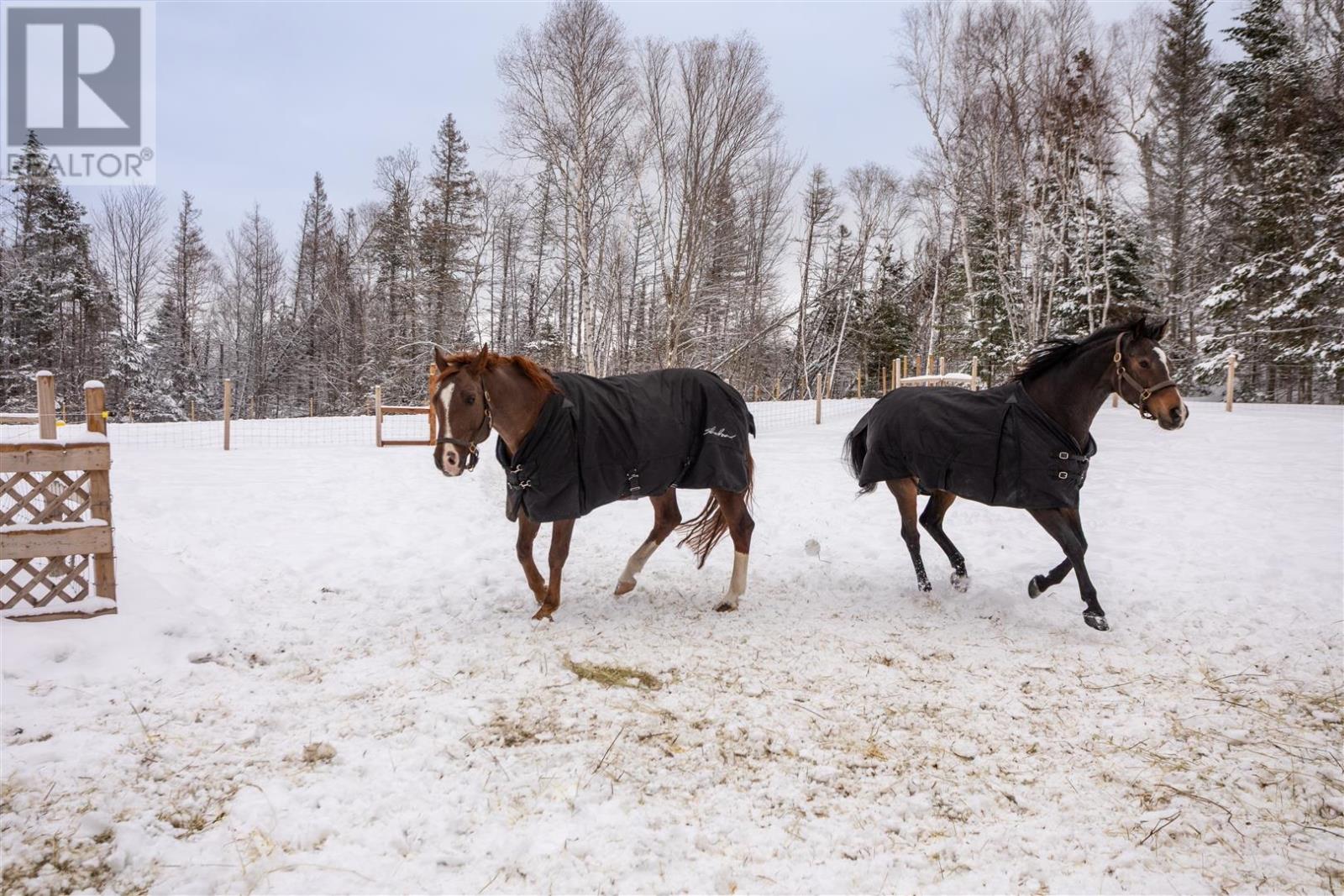 127 Peters Road, Pembroke, Prince Edward Island  C0A 1R0 - Photo 38 - 202601687
