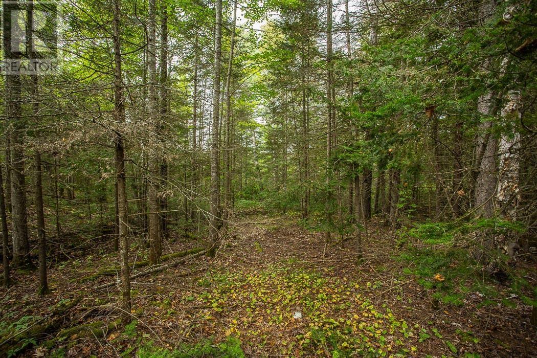 Trunk Road / Hwy 17, Huron Shores, Ontario  P0R 1L0 - Photo 34 - SM252737