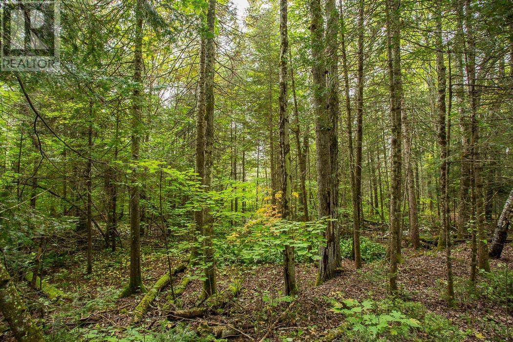 Trunk Road / Hwy 17, Huron Shores, Ontario  P0R 1L0 - Photo 31 - SM252737