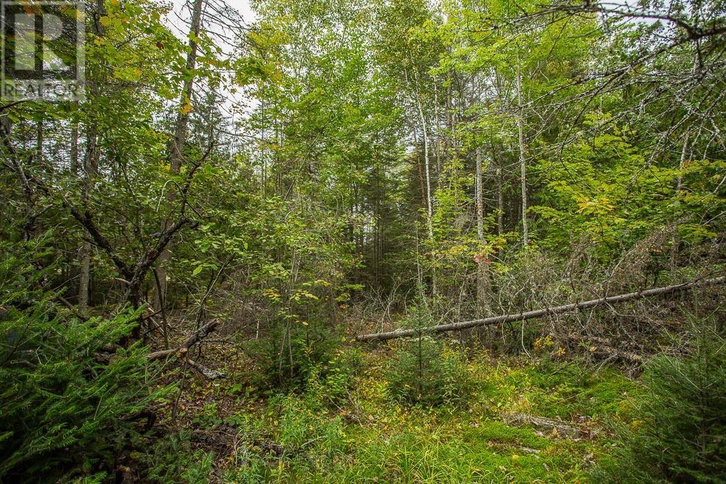 Trunk Road / Hwy 17, Huron Shores, Ontario  P0R 1L0 - Photo 33 - SM252737