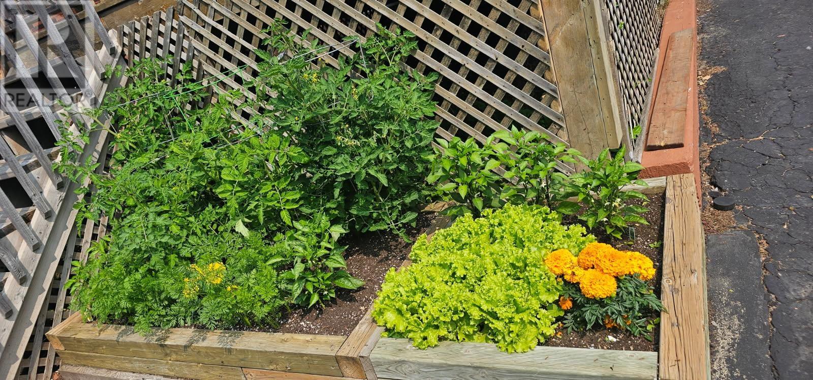 37 Terrace Heights, Terrace Bay, Ontario  P0T 2W0 - Photo 36 - TB2600163