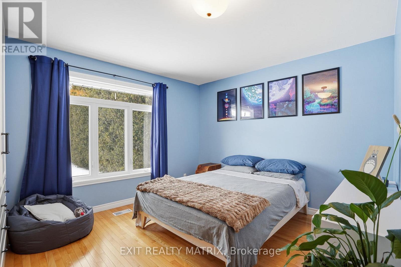 685 Station Rd Road, Alfred And Plantagenet, Ontario  K0B 1A0 - Photo 20 - X12804860