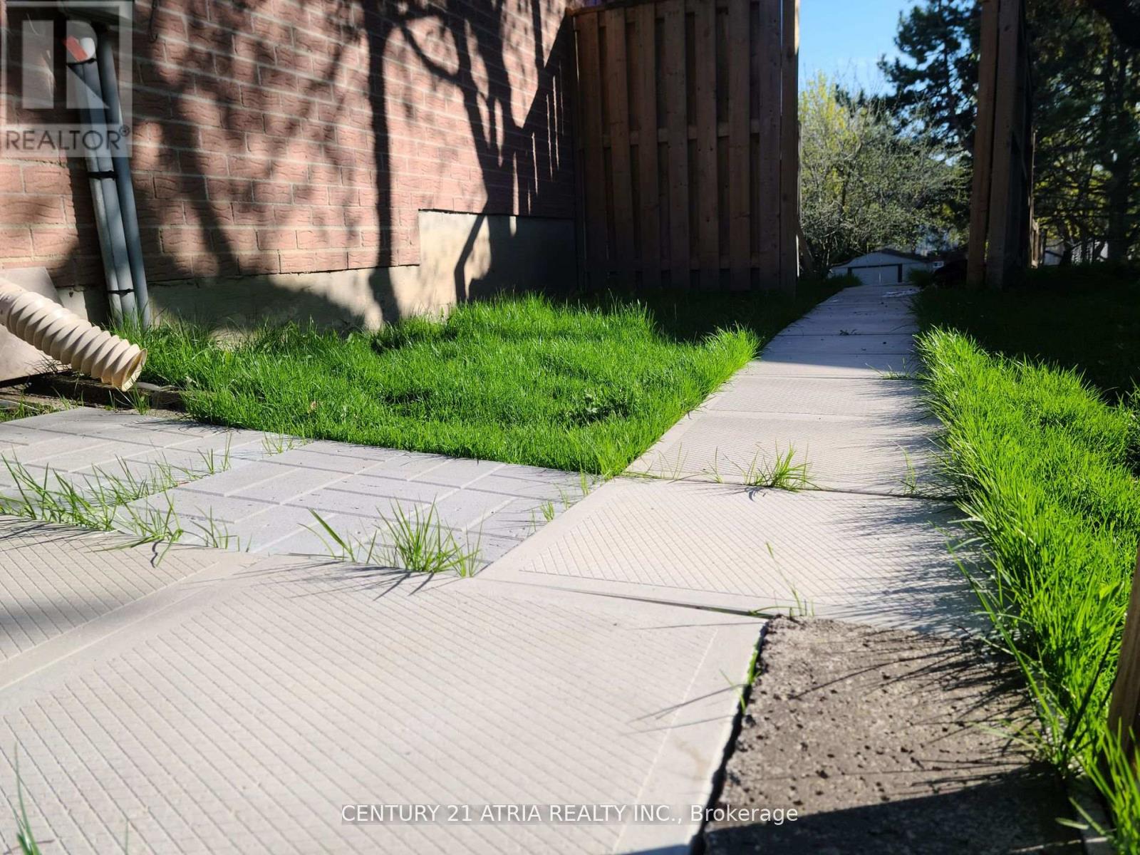 Bsmt - 90 Marsden Court, Newmarket, Ontario  L3Y 7P5 - Photo 2 - N12804932