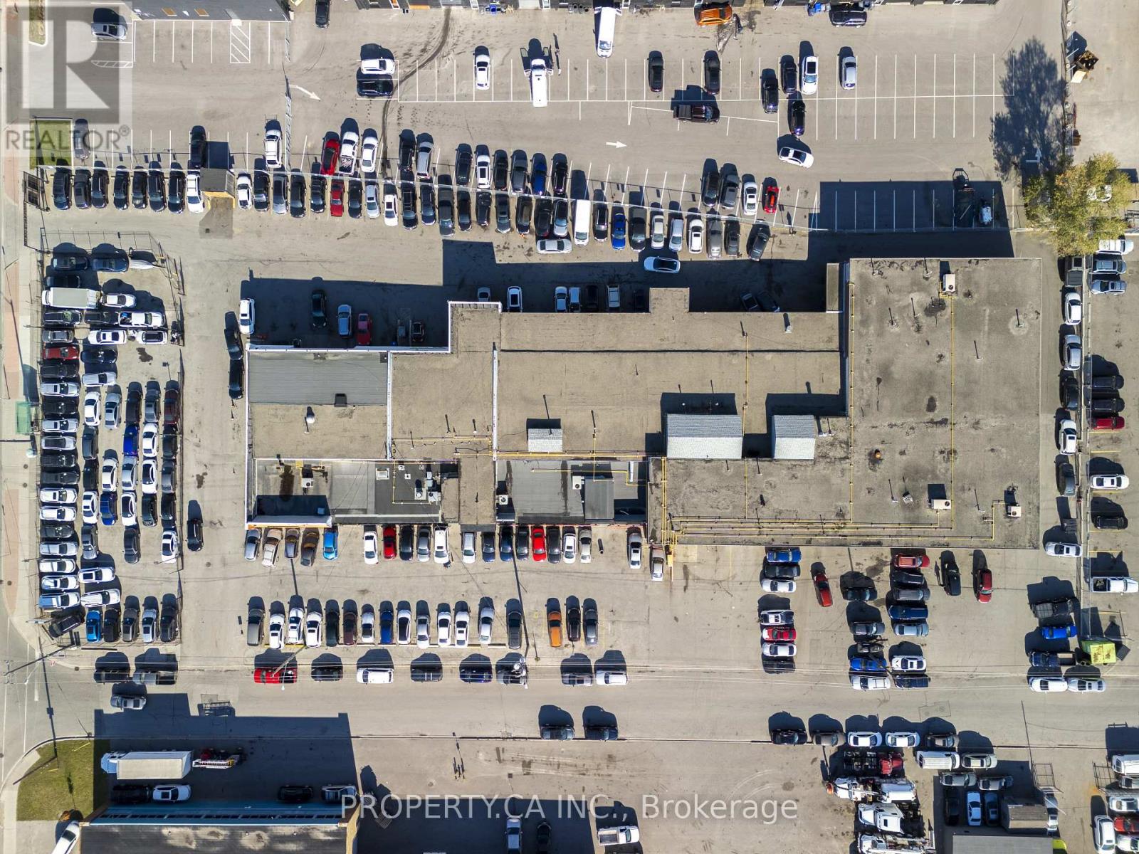 773 Warden Avenue, Toronto, Ontario  M1L 4C2 - Photo 14 - E12805042