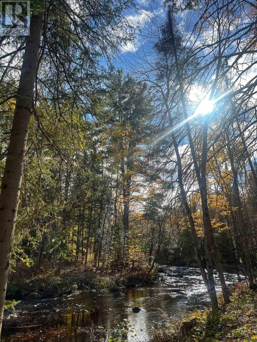 125 Bear Trail Road, Killaloe, Ontario  K0J 2A0 - Photo 47 - X12803700