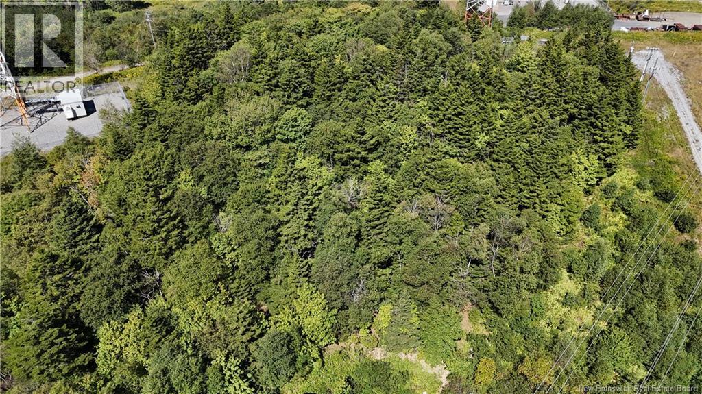 298 Westmorland Road, Saint John, New Brunswick  E2J 2G3 - Photo 31 - NB125183