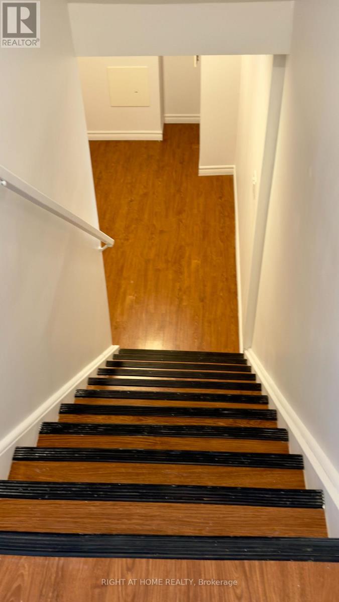 3801 Forest Bluff Crescent, Mississauga, Ontario  L5N 7T8 - Photo 36 - W12796446