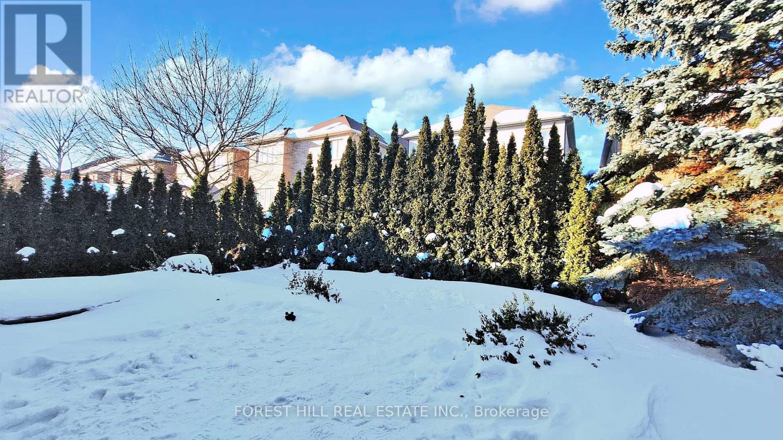 144 Battaglini Avenue, Richmond Hill, Ontario  L4C 0L1 - Photo 48 - N12805280