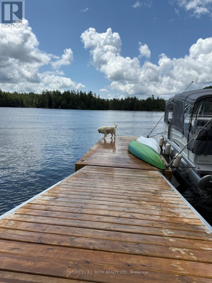 24-Sr409 Severn River, Muskoka Lakes, Ontario  P0E 1G0 - Photo 11 - X12805374