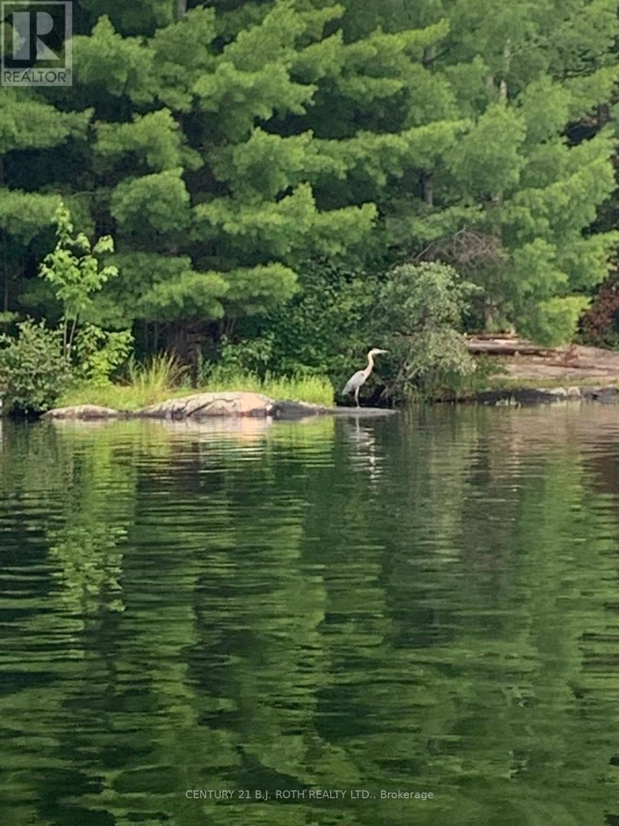 24-Sr409 Severn River, Muskoka Lakes, Ontario  P0E 1G0 - Photo 6 - X12805374