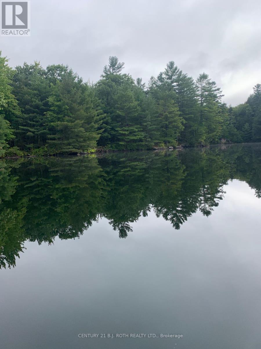 24-Sr409 Severn River, Muskoka Lakes, Ontario  P0E 1G0 - Photo 8 - X12805374