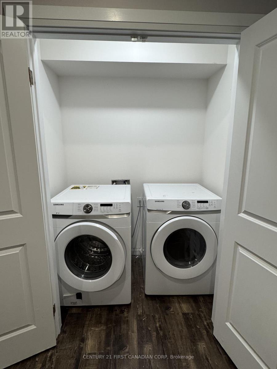 Lower - 2910 Biddulph Street, London South, Ontario  N6L 0A8 - Photo 14 - X12805430