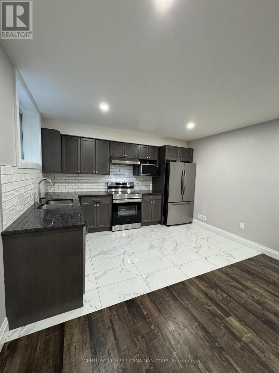 Lower - 2910 Biddulph Street, London South, Ontario  N6L 0A8 - Photo 6 - X12805430