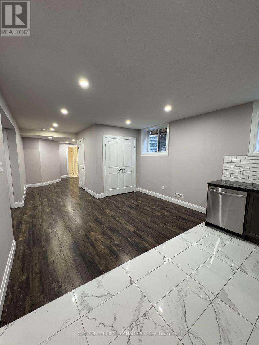 Lower - 2910 Biddulph Street, London South, Ontario  N6L 0A8 - Photo 7 - X12805430