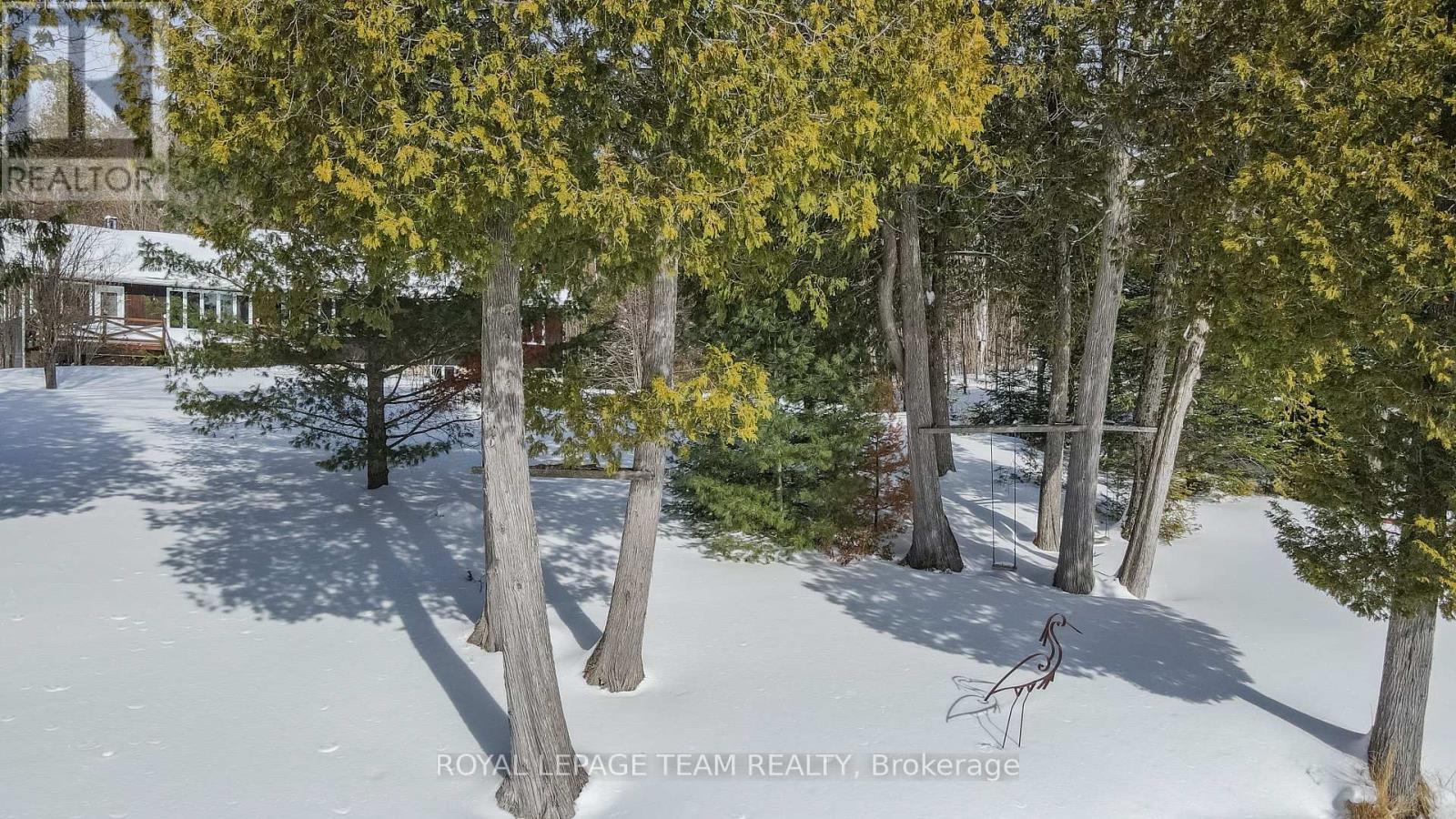 58 Luloff Lane, Brudenell, Ontario  K0J 2E0 - Photo 7 - X12805586