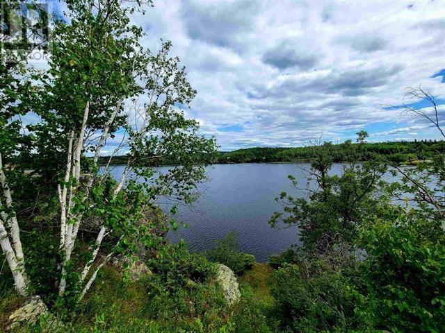 1319 Laurenson Lake, Kenora, Ontario  P9N 4G9 - Photo 5 - TB2600263